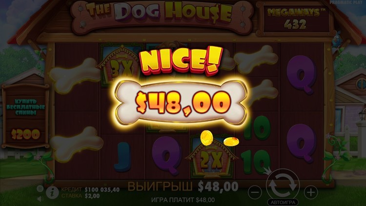 Стратегия малых ставок в Dog House Megaways
