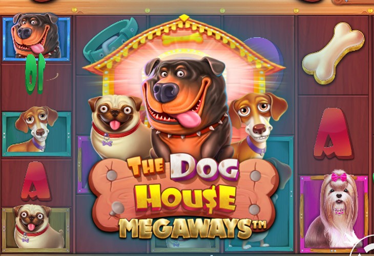Стратегия Bonus Buy в Dog House Megaways